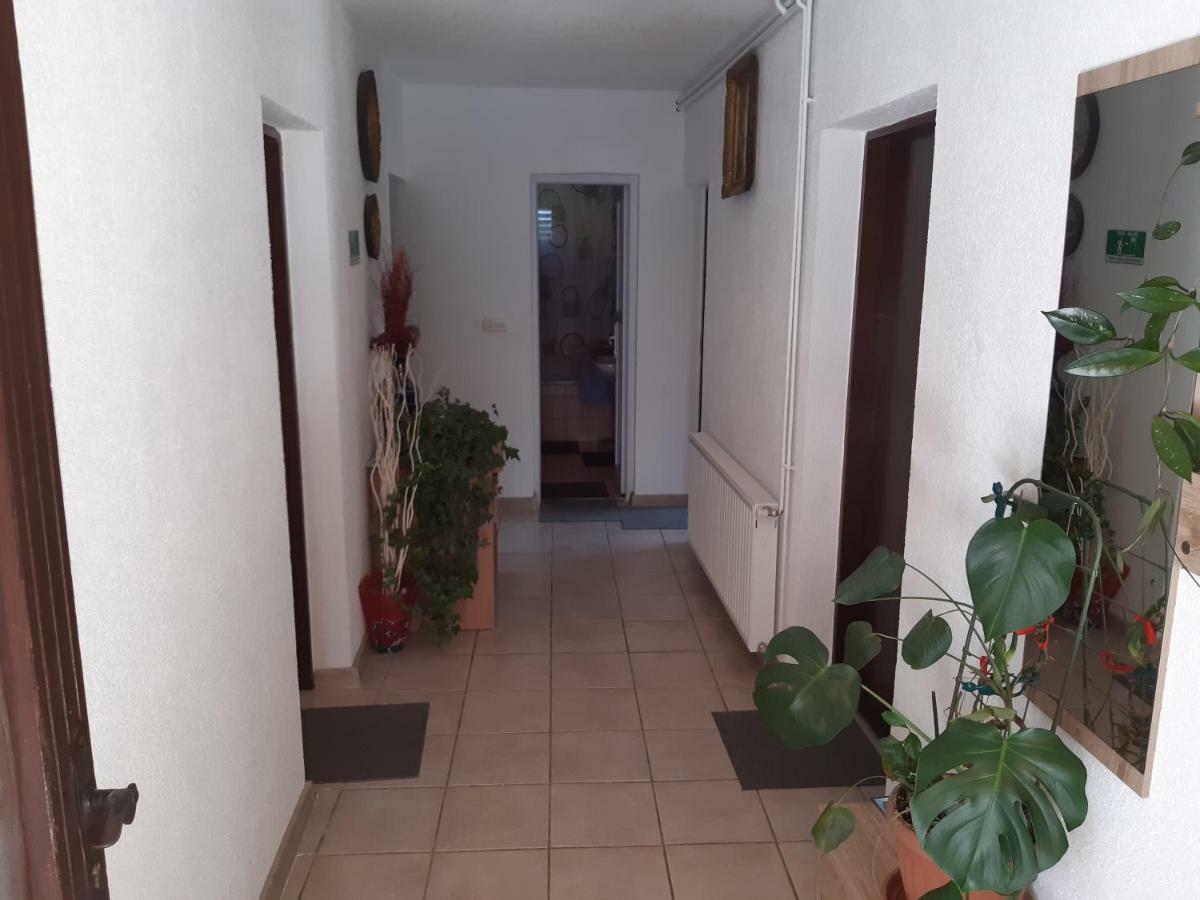 Rooms Luka Selište Drežničko Zewnętrze zdjęcie