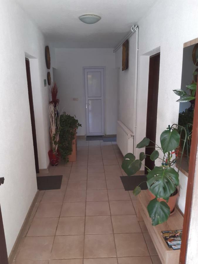 Rooms Luka Selište Drežničko Zewnętrze zdjęcie